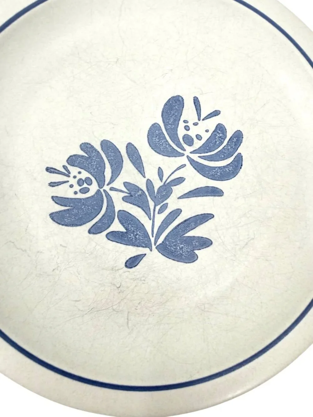 PFALTZGRAFF YORKTOWNE BLUE FLORAL STONEWARE DINNER PLATES SET OF 2 -10.25
